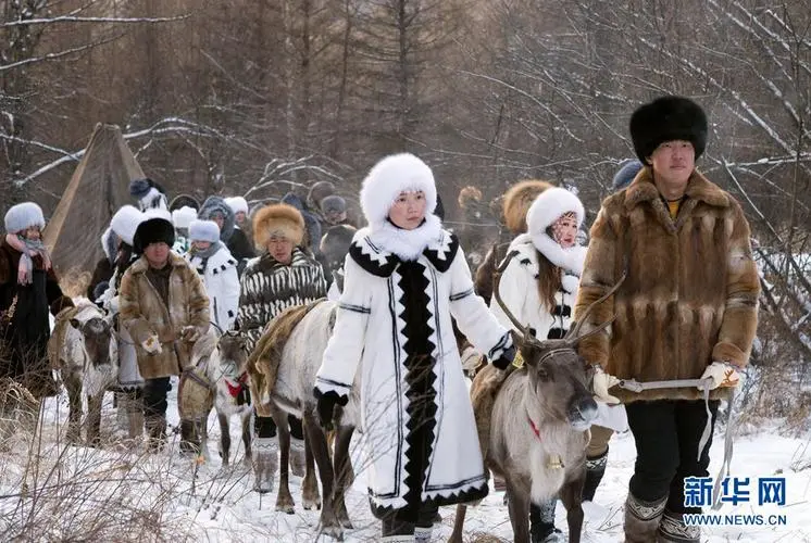 雪原驯鹿之旅